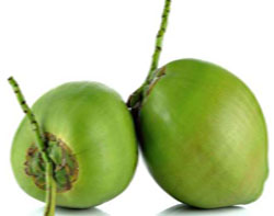 buah_kelapa